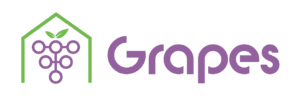 Grapes Smart Tech Solution