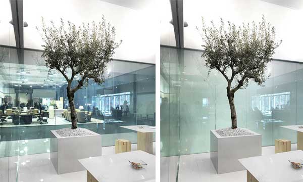 Smart Glass Before After
