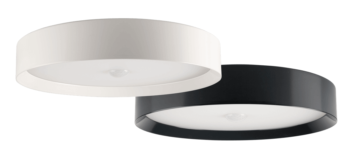 Ceiling Light | Grapes Smart Tech