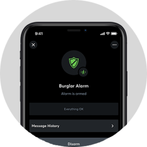 Burglar Alarm Loxone App | Grapes Smart Tech
