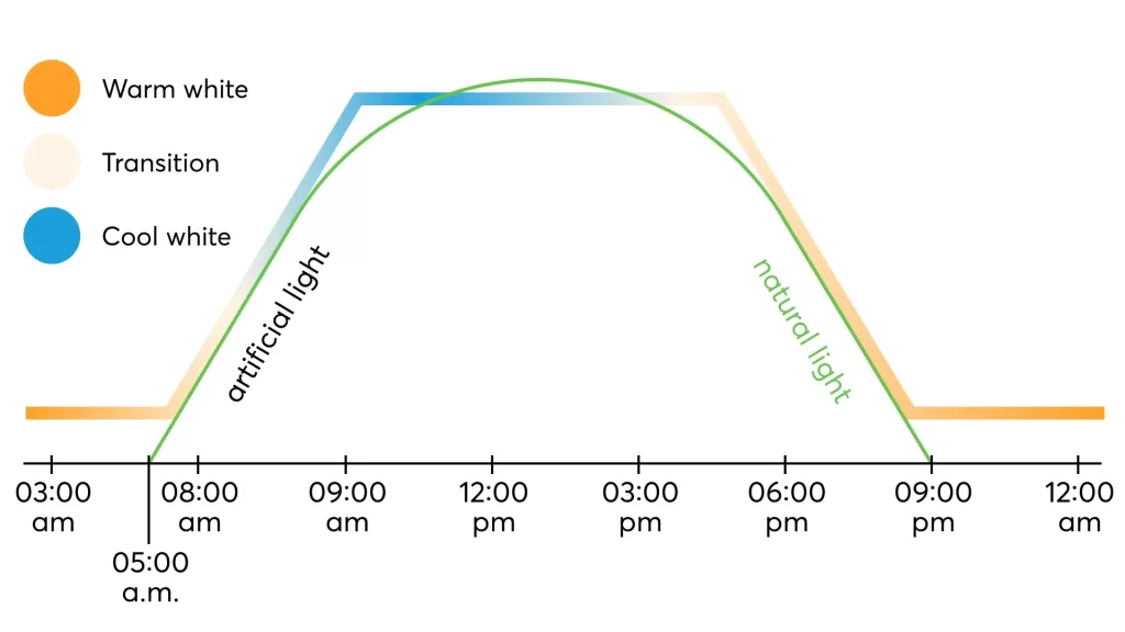 How color temperatures impact our well being | Grapes Smart Tech