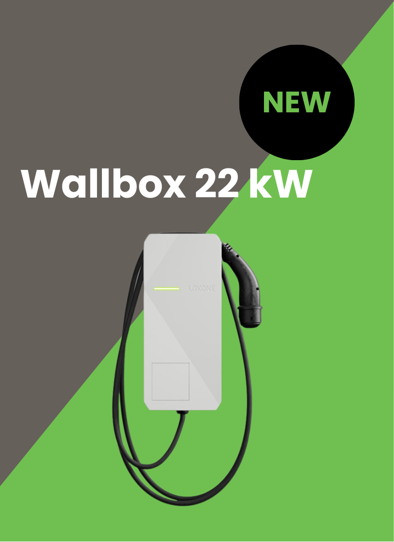 Wallbox 22 kW Tree
