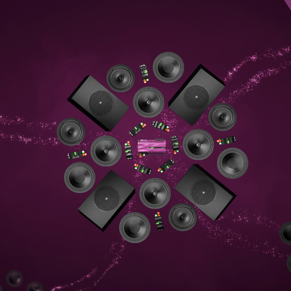 Audio Control | Grapes Smart Tech